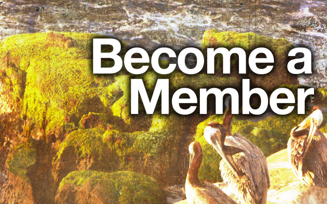 Become a Member